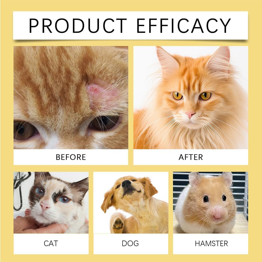 3Pcs Spray for Dogs,Pet Skin Soothing Spray,Helps Alleviate Allergies Dry Itchy Skin, Itch Relief Sprays and Hot Spot Treatment,Soothing Solution for Itchy,Suitable for All Types of Dogs Cat