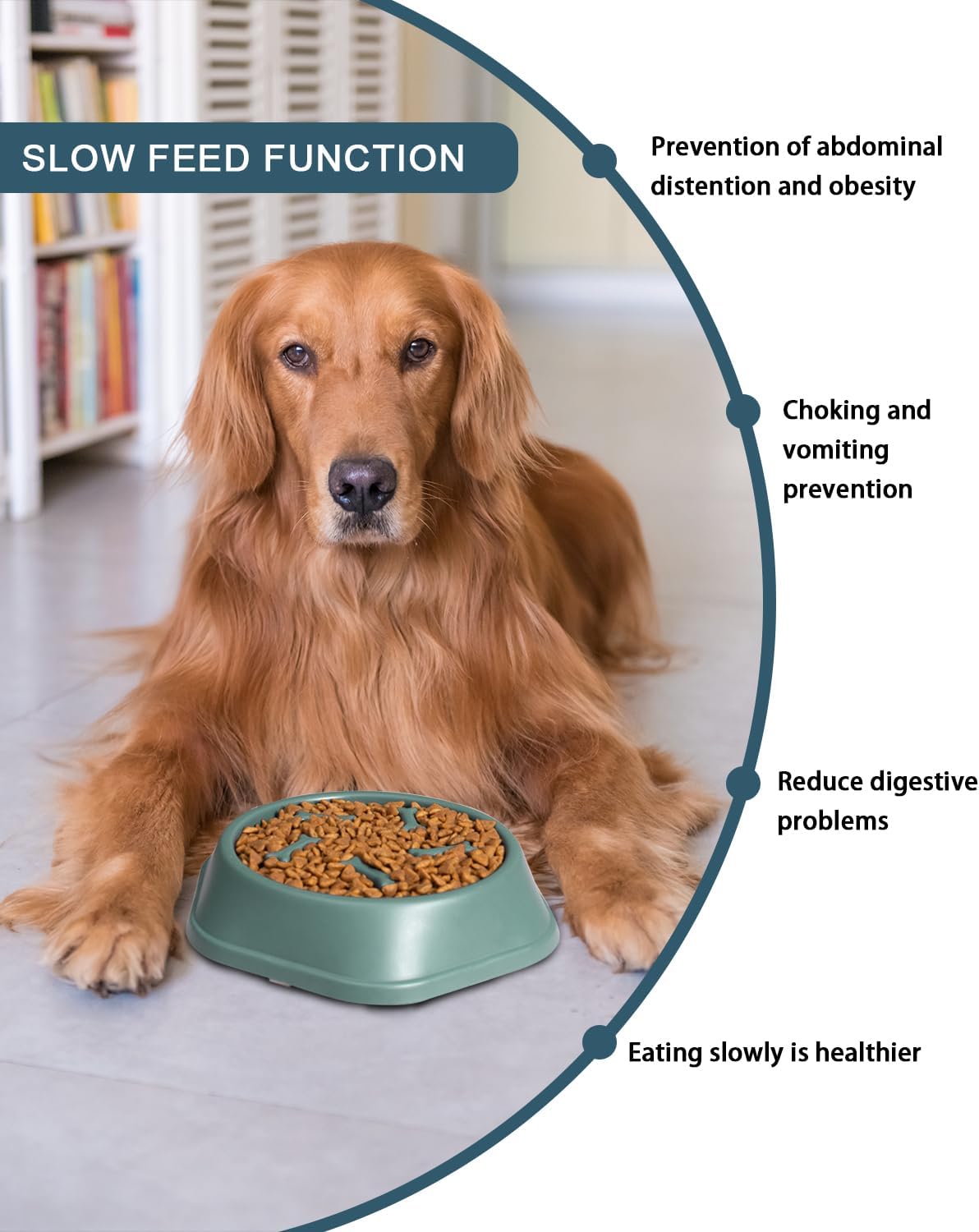 2-Pack Dog Bowl Slow Feeder, Non-Slip Slow Feeder Dog Bowls, Interactive Dog Feeder for Small and Medium Dogs for Wet Dry Raw Food and Water