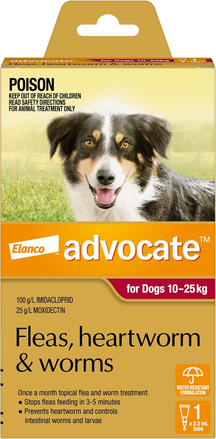 Dog, Monthly Spot-On Protection from Fleas, Heartworm and Worms, Single Pack Flea Treatment for Large Dogs 10-25 Kg, 1 Pack