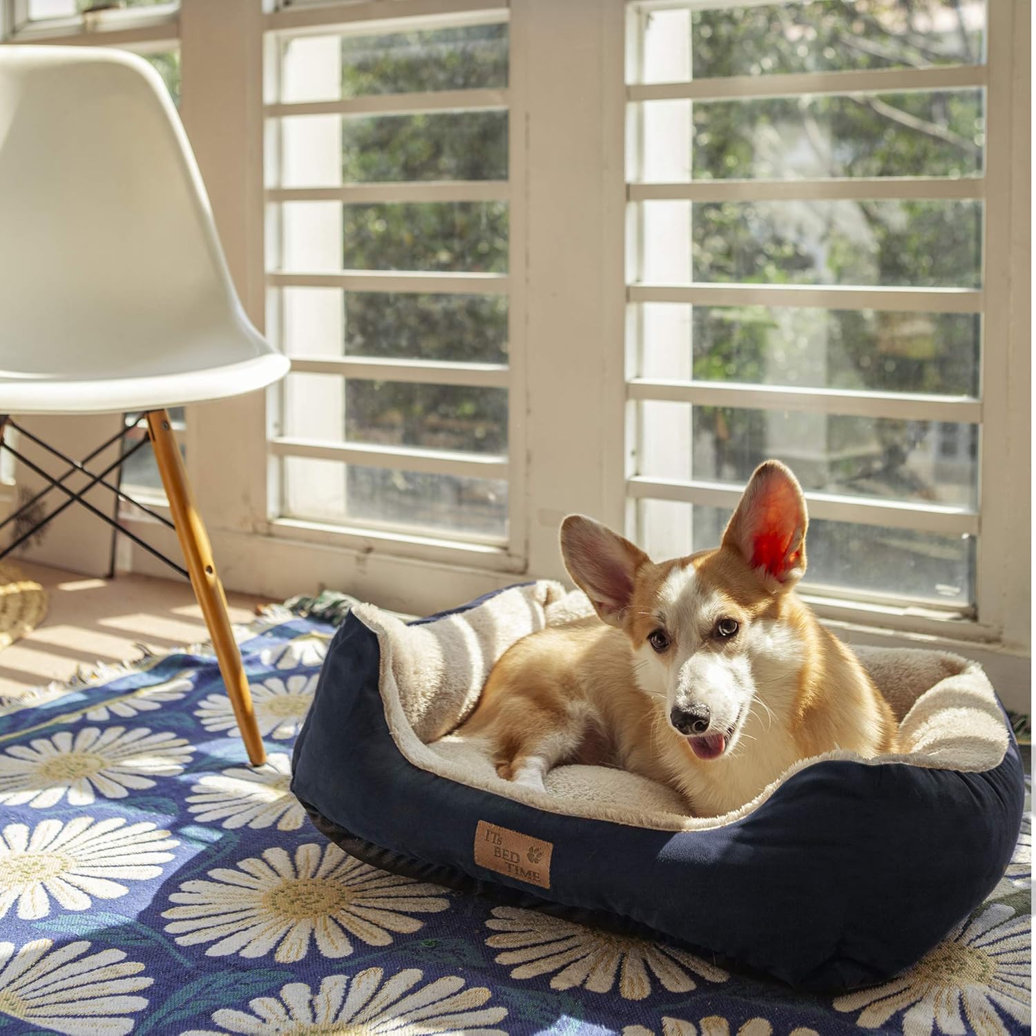 It'S Bed Time Plush Dozer Rectangle Dog Bed, Blue, Medium, 20Cm X 65Cm X 55Cm - Breathable Plush Fabric, Pet Mattreess, Non-Slip Base, Water-Resistant & Machine Washable