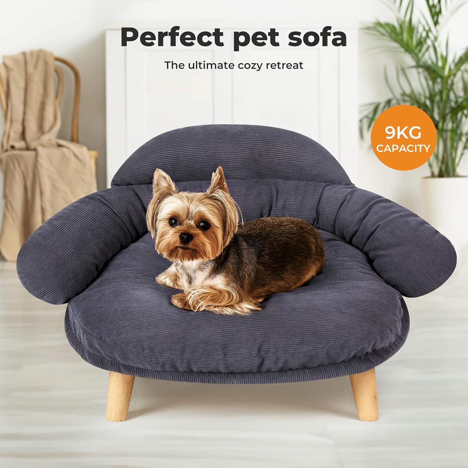 Pet Sofa Dog Cat Elevated Raised Couch Bed, Durable Soft Couch Chair Kitten Lounge Sofa Bed with Removable Cushion Seat Washable Cover, Luxury Plush Sofa Stool Bed for Dogs Cats with Wooden Frame